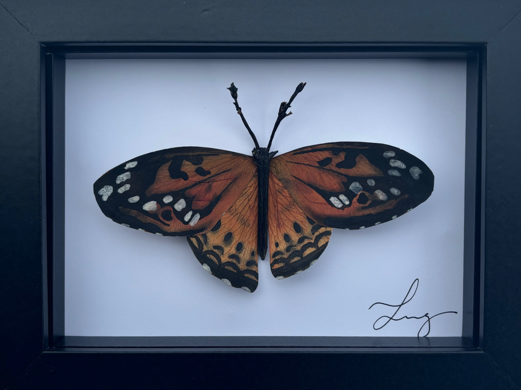 Papilio i